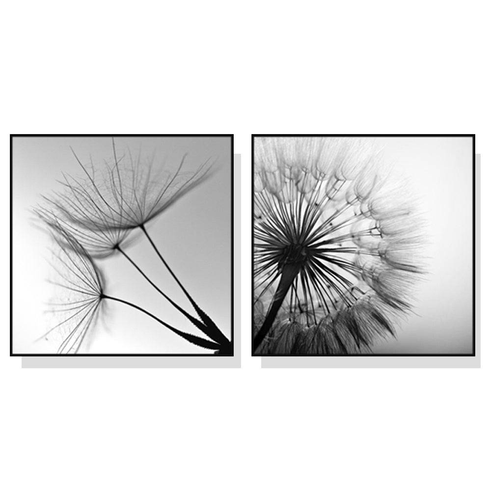 Black and white dandelion 2 Sets Black Frame Canvas - 60cmx60cm - STripleB