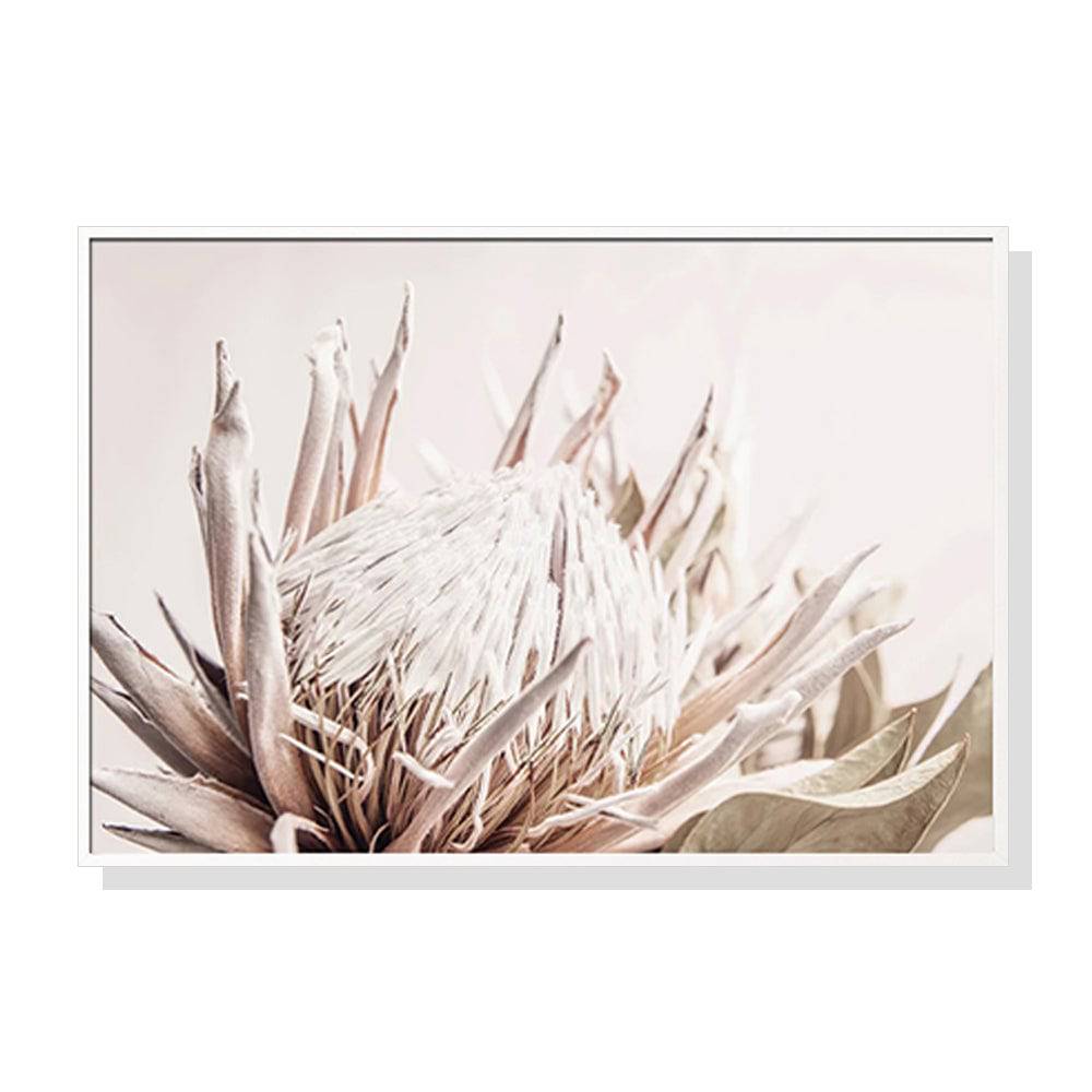 Pure Protea II White Frame Canvas - 40cmx60cm - STripleB