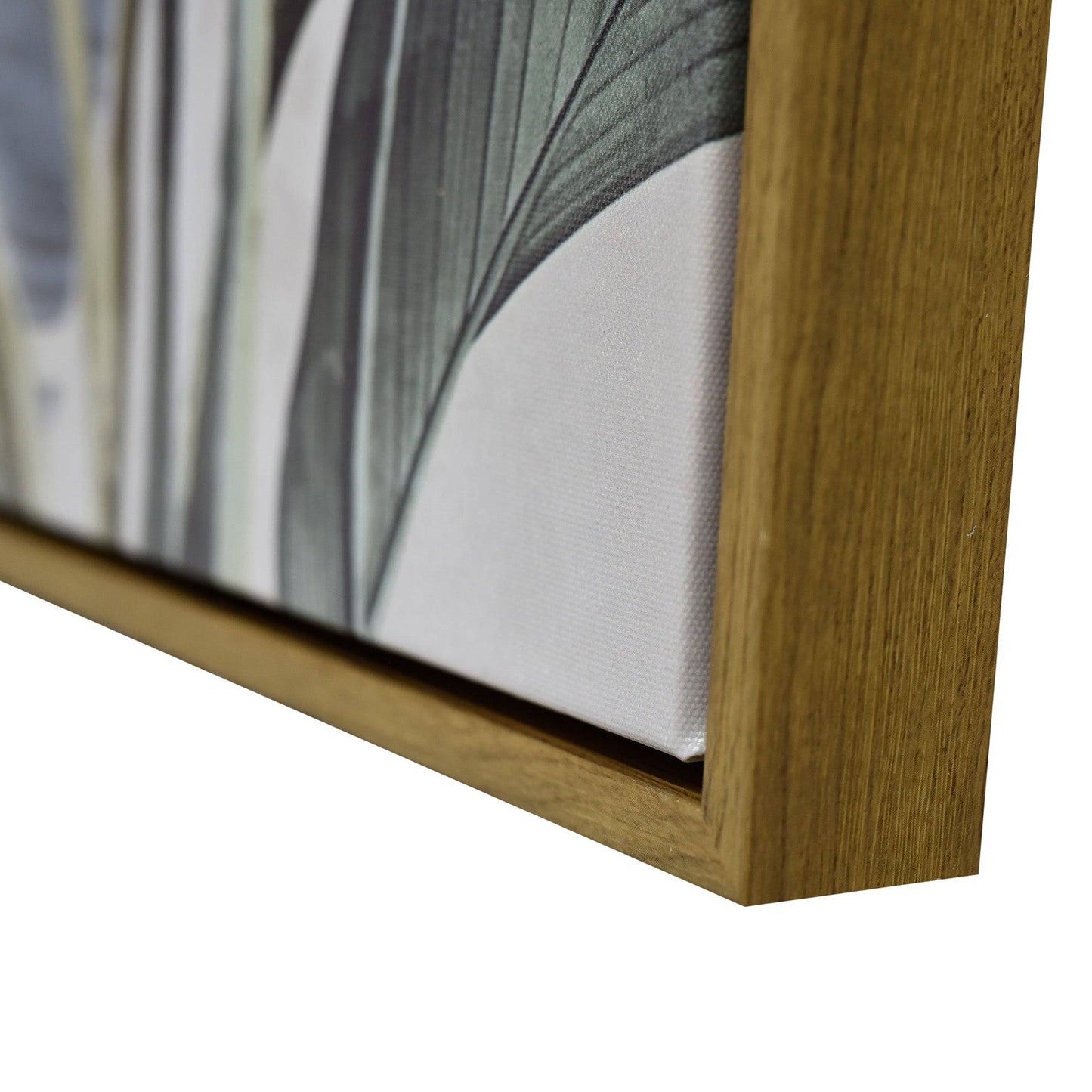 Golden Plume Dark Wood Framed Canvas Wall Art - STripleB