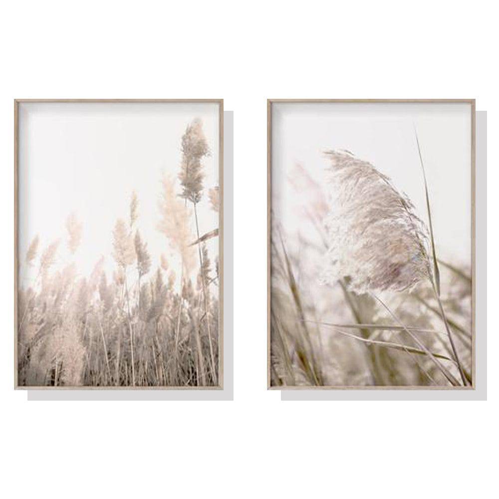 Pampas Grass 2 Sets Wood Frame Canvas - 60cmx90cm - STripleB 